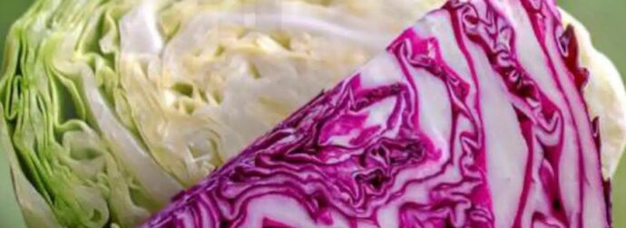 Λάχανο: Μια τροφή με πολλαπλά οφέλη για την υγεία μας