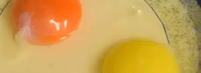 Τι σημαίνει αν ο κρόκος ενός αυγού είναι κίτρινος ή πορτοκαλί – Ποιος είναι ο πιο υγιεινός