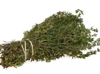 Ρίγανη: Το πιο ισχυρό βότανο που καταστρέφει παράσιτα, λοιμώξεις του ουροποιητικού συστήματος