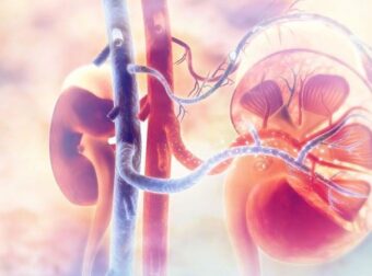 Νεφρική ανεπάρκεια σε νέους: Οι 2 συνήθειες που πραγματικά αυξάνουν τον κίνδυνο