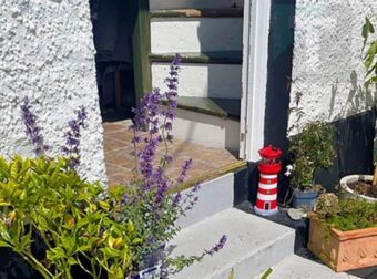 Μόνο οι πιο παρατηρητικοί θα μπορέσουν να εντοπίσουν τις δύο γάτες σε αυτή τη φωτογραφία: Μπορείτε να τις δείτε;