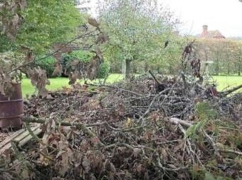 Μπορείτε να εντοπίσετε τον κρυμμένο σκύλο; Μόνο όσοι έχουν αετίσια όραση μπορούν