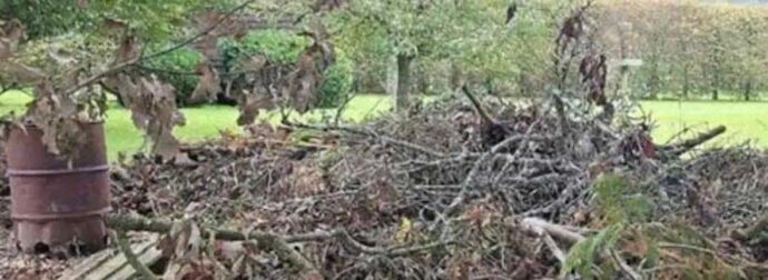 Μπορείτε να εντοπίσετε τον κρυμμένο σκύλο; Μόνο όσοι έχουν αετίσια όραση μπορούν