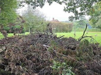 Μόνο όσοι είναι εξαιρετικά παρατηρητικοί θα βρουν τον σκύλο που είναι κρυμμένος σε αυτή την εικόνα