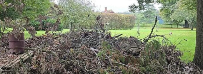 Μόνο όσοι είναι εξαιρετικά παρατηρητικοί θα βρουν τον σκύλο που είναι κρυμμένος σε αυτή την εικόνα
