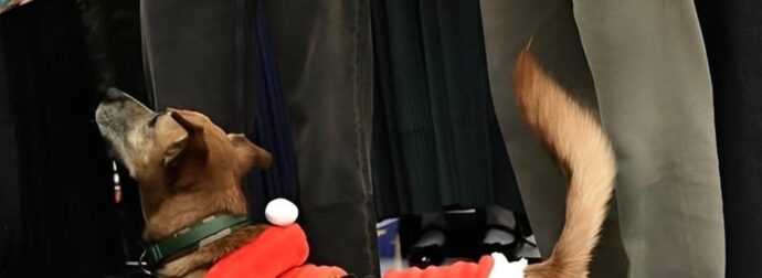Με στολή Άγιου Βασίλη ο Πίνατ – Χαμογελαστός ο Κυριάκος Μητσοτάκης