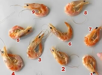 Μπορείτε να εντοπίσετε την 1 ψεύτικη γαρίδα στις 9 γαρίδες σε 10 δευτερόλεπτα;