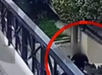 Γλυκά Νερά: Ηλικιωμένοι ξεγέλασαν απατεώνα που παρίστανε υπάλληλο του ΔΕΔΔΗΕ για να τους κλέψει