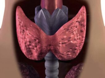 Τον τρως και… δυναμώνεις: Ο εξωτικός καρπός που λατρεύει ο θυρεοειδής – Προστατεύει την καρδιά και «ξυπνά» το μυαλό