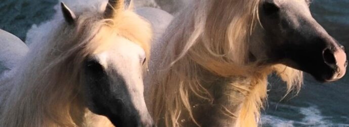 Σπάνιοι σαν… μονόκεροι: Ποιο ζώδιο είναι το πιο σπάνιο και ποιο παντού γύρω σου