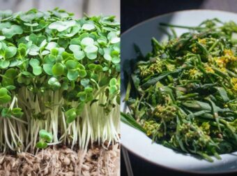 Το αρχαıότερο λαχανıκό που ενıσχύει την óραση, δuναμώνει τα οστά και πpoλαμβάνεı τον καρκiνο