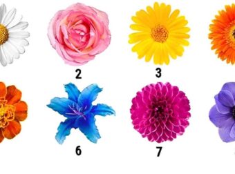 Διαλέξτε λουλούδι και αυτό θα αποκαλύψει το πιο σημαντικό χαρακτηριστικό του χαρακτήρα σας