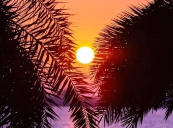 Έρχονται οι Αλκυονίδες μέρες – Πότε ο καιρός θα θυμίζει άνοιξη