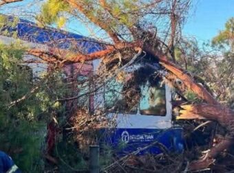 Πεύκο έπεσε πάνω σε τρένο – Στο Νοσοκομείο ο μηχανοδηγός