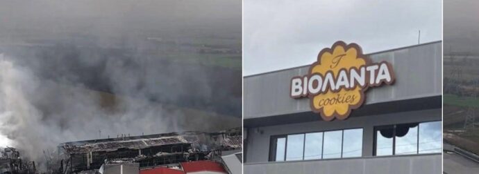 Βιολάντα: Ελεύθεροι ο ιδιοκτήτης και οι άλλοι δυο κατηγορούμενοι χωρίς περιοριστικούς όρους