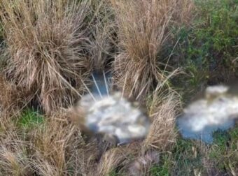 Δεκάδες νεκρά πρόβατα στον ποταμό – Έκτακτη σύσκεψη