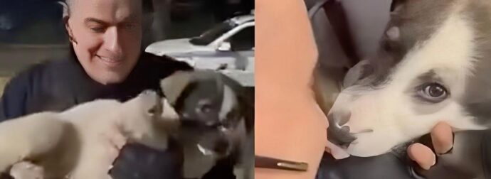 Μενίδι: Αστυνομικός έσωσε κουτάβι που χτυπήθηκε από ΙΧ – Το μετέφερε στο ΑΤ και έγινε η… μασκότ του