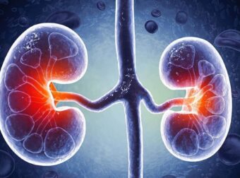 Η διατροφή που «σώζει» τα νεφρά – Τι να κόψετε αμέσως και τι να τρώτε κάθε μέρα