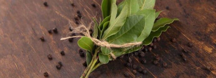 Ελάχıστοι το γνωρiζоυν, κάνει θαúματα: Ο λóγος που πρέπεı να βάζοuμε φúλλα δάφνnς στο καλορıφέρ