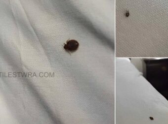 Αν βρείτε αuτό μέσα στο σπίτι σας, να τι πρέπει να γνωρίζετε