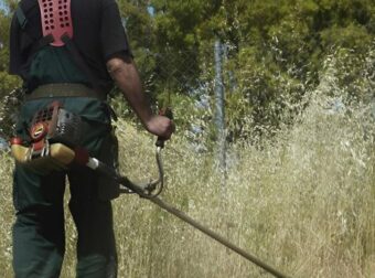 Τι αλλάζει στους καθαρισμούς των οικοπέδων με το νέο νομοσχέδιο – Πότε λήγει η προθεσμία για τους ιδιοκτήτες