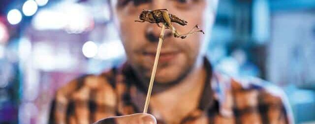 Θα τρώμε έντομα χωρίς να το ξέρουμε; Το σχέδιο, οι φόβοι και η ελληνική πραγματικότητα