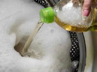  Το ξύδι είναι το κλειδί για πιο λευκές και πιο απαλές πετσέτες, αλλά οι περισσότεροι το χρησιμοποιούν λάθος. Αuτός είναι ο σωστός τρόπος χρήσης