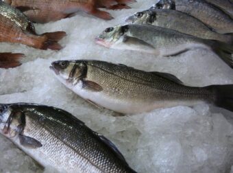 Περίπου το 1/3 των Ελλήνων καταναλώνει επικίνδυνα ψάρια πάνω από 3 φορές την εβδομάδα