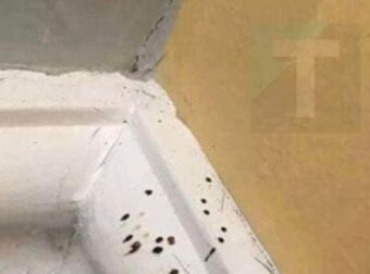 Τι είναι αυτές οι περίεργες μαύρες κουκκίδες στην κουζίνα σας;