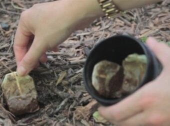 15 χρήσεις για τα φακελάκια του τσαγιού που δεν γνωρίζατε.