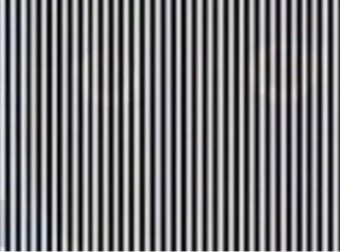 Δοκιμάστε τις ικανότητές σας και προσπαθήστε να μαντέψετε ποιο ζώο μπορείτε να δείτε στην εικόνα