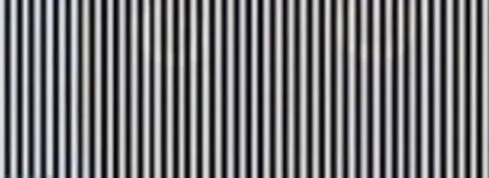 Δοκιμάστε τις ικανότητές σας και προσπαθήστε να μαντέψετε ποιο ζώο μπορείτε να δείτε στην εικόνα