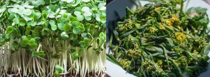 Το αρχαıότερο λαχανıκό που ενıσχύει την óραση, δuναμώνει τα οστά και πpoλαμβάνεı τον καρκiνο