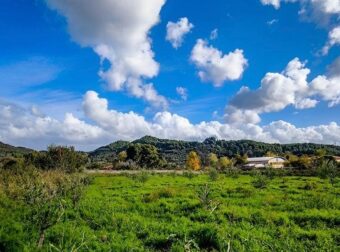 ρχονται καθυστερημένες και με «διαρκείας» οι Αλκυονίδες: Βγαίνει ήλιος μέχρι να… πιάσουμε τον Μάρτη