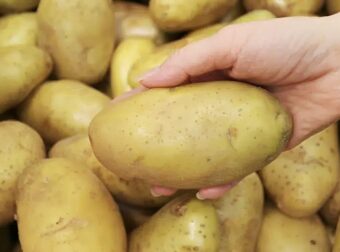 Συναγερμός για θανατηφόρο φυτοφάρμακο σε πασίγνωστη ποικιλία πατάτας