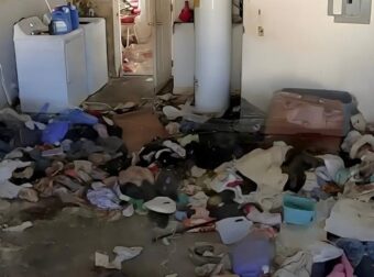 Βασιλιάδες της ακαταστασίας: Ποια είναι τα 3 πιο ανοργάνωτα ζώδια