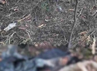 Θρίλερ στην Χαλκιδική με τα ανθρώπινα οστά που βρέθηκαν σε σακούλα