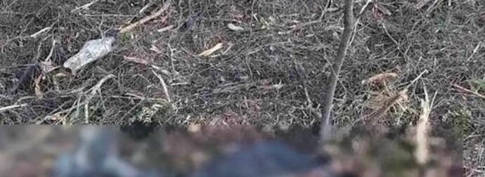 Θρίλερ στην Χαλκιδική με τα ανθρώπινα οστά που βρέθηκαν σε σακούλα