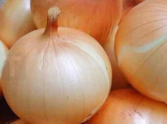 Οι γιατροί αποκαλύπτουν ότι η κατανάλωση κρεμμυδιού προκαλεί…