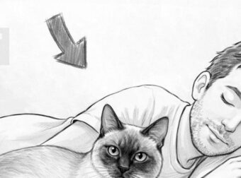 Αν η γάτα σας κοιμάται μαζί σας κάθε βράδυ, δείτε τι μπορεί να σημαίνει