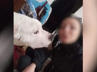 Μαθεύτηκε τι σοκαριστικό φώναζε ο 38χρονος στην 31χρονη έγκυο σύντροφό του που βρέθηκε νεκρή στον Κολωνό