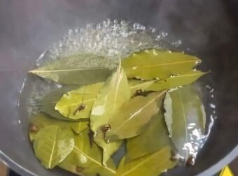 Τώρα, πριν το Πάσχα και την πολλή ζέστη, βάλτε αυτό μεσα στο σπίτι σας και δεν πρόκειται να δείτε ξανά μύγα, κουνούπι και κατσαρίδα