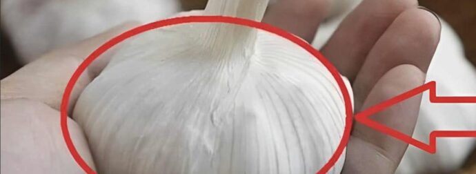 Ακόμα κι αν σας τα δώσουν δωρεάν, μην τα πάρετε αυτά τα σκόρδα