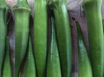 Οι γιατροί αποκαλύπτουν ότι η τακτική κατανάλωση μπάμιας μπορεί να προκαλέσει…