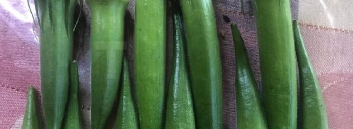 Οι γιατροί αποκαλύπτουν ότι η τακτική κατανάλωση μπάμιας μπορεί να προκαλέσει…