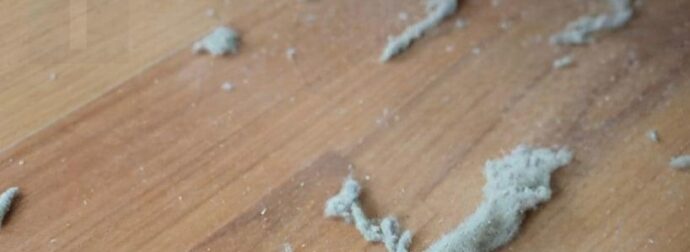 Η γιαγιά μου μού έμαθε αυτό το κóλπο για να απομακρύνω όλες τις τρίχες και τη σκόνη από το σπίτι μέσα σε μόλις 2 λεπτά χωρίς προσπάθεια