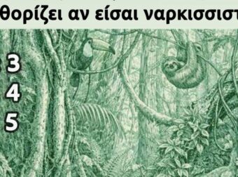 Ο αριθμός των ζώων που βλέπετε καθορίζει αν είστε ναρκισσιστής