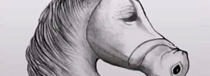 Ο μέσος άνθρωπος το βλέπει αuτό ως άλογο