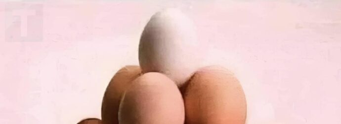 Πόσα αβγά βλέπετε σε αυτή την εικόνα;