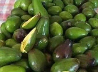 Οι γιατροί αποκαλύπτουν ότι η κατανάλωση αβοκάντο προκαλεί…